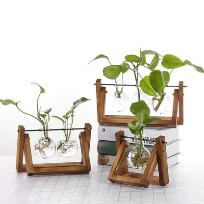 Vintage Bonsai Terrarium Tabletop Wooden Frame Flower Pot Hydroponic Plant Vases Glass Vase