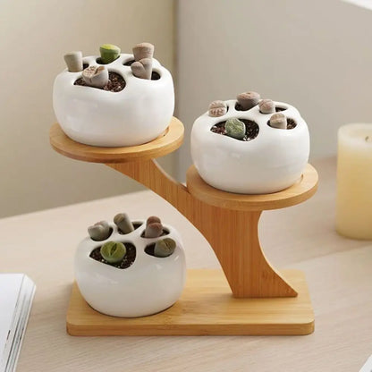 Bamboo Shelf Desktop Flower Rack Multi-layer Tree Branch shape Succulents Bonsai Organizer Home Decoration Flower Storage