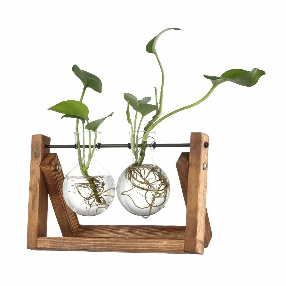 Vintage Bonsai Terrarium Tabletop Wooden Frame Flower Pot Hydroponic Plant Vases Glass Vase